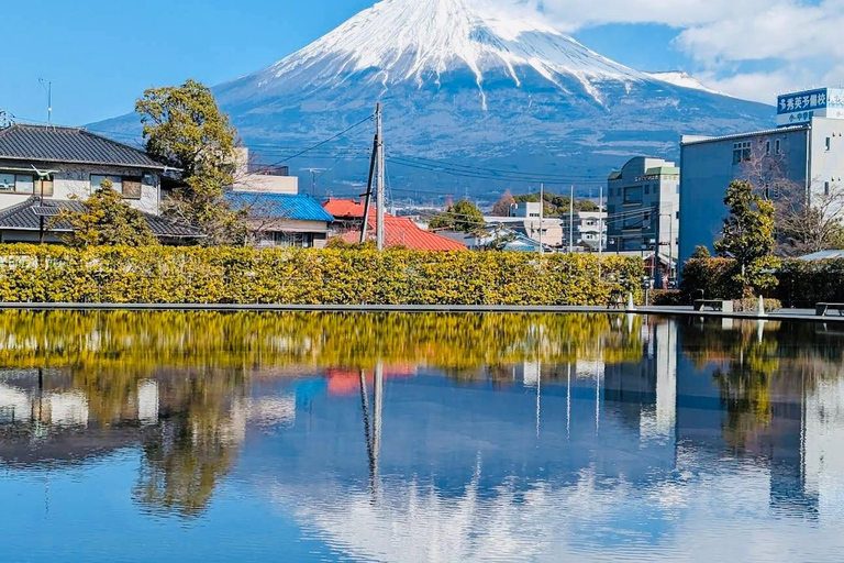 From Tokyo&Yokohama:M.Fuji day trip with Eng speaking driver