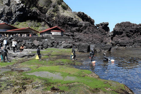 2024 Jeju Herfsttournee met Pink Muhly Festival