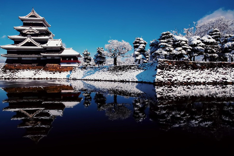 Från Tokyo: Nagano, Zenkoji Temple, Snow Monkeys Dagsutflykt.