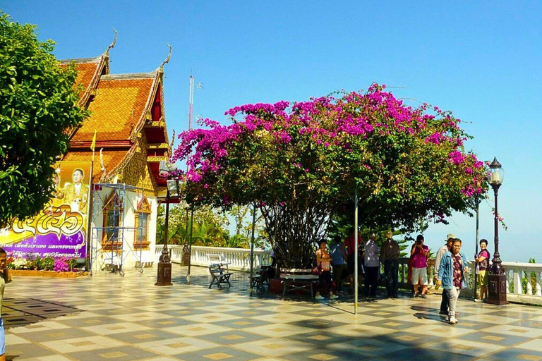 Visite du Doi Suthep et du temple Wat Pha Lat en soirée