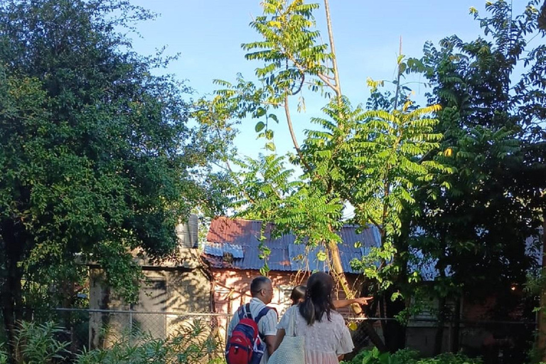 Puerto Plata: Countryside tour with Monkey Home, butterflies, and coffee