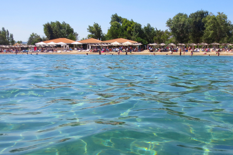 Athens: Marathon Lake, Museum, and Shinias Beach Day Trip