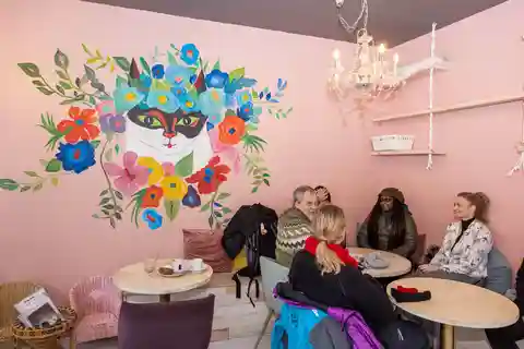 Der private Reykjavik CatWalk