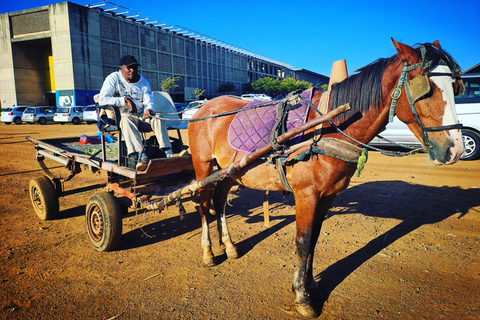 Meest authentieke tour door Soweto die iets teruggeeft aan de mensen!