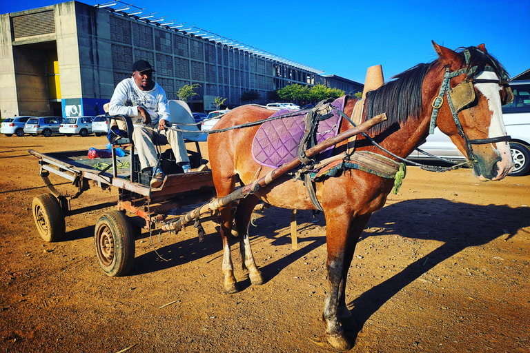 Meest authentieke tour door Soweto die iets teruggeeft aan de mensen!