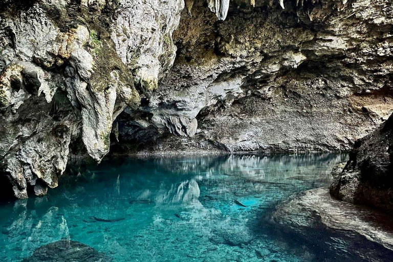 Excursion d&#039;une journée à Saint-Domingue depuis Punta Cana avec prise en charge à l&#039;hôtel