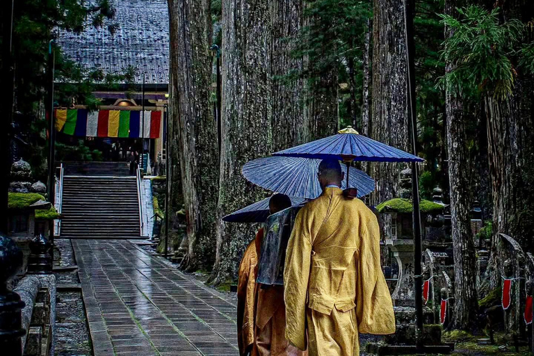Wakayama & Koyasan: Private Tour with Hotel Pickup & Lunch