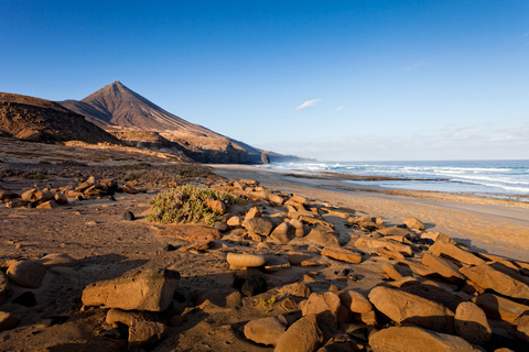 Fuerteventura: Secret Beach Horse Ride for experienced Rider