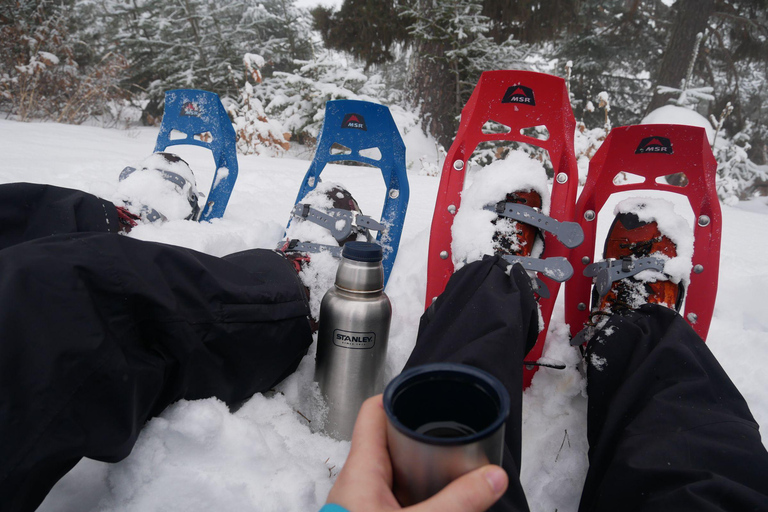 Levi: Snowshoe Survival Experience