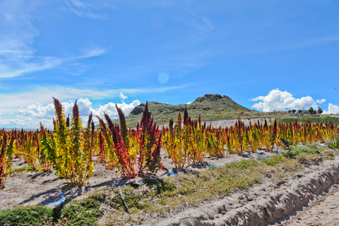 La Paz - Uyuni: Comfortable Private Transfer with Tour Guide