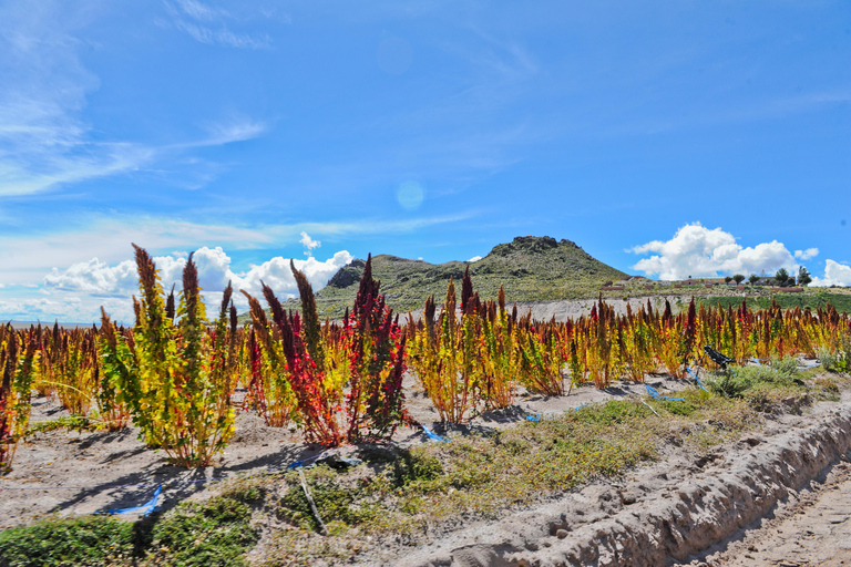 La Paz - Uyuni: Comfortable Private Transfer with Tour Guide