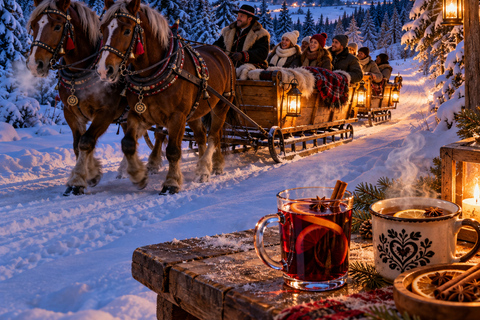 Termy Szaflary Entry & Sleigh Ride with Wine