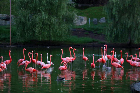 Batumi to Kobuleti: Black Sea Coast Private Tour with Guide