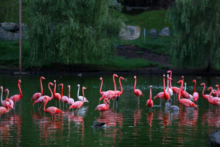 Batumi to Kobuleti: Black Sea Coast Private Tour with Guide