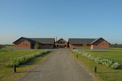 Horses, Asado &amp; Nature. A day at a thoroughbred farm