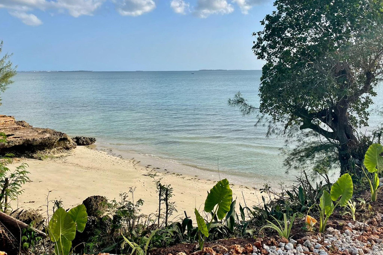 Zanzibar: The Swahili Spice Experience – wycieczka po przyprawach + kulinarna podróż"The Swahili Spice Experience" (z miejscem spotkania)