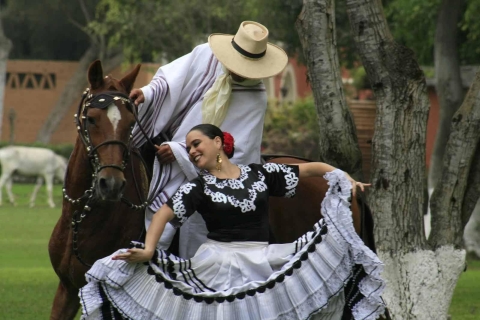 Van Trujillo | Marinera show met Peruaanse Paso paarden