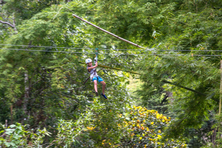 Ocho Rios : Aventure en zipline et tubing dans la vallée de la rivière Blanche