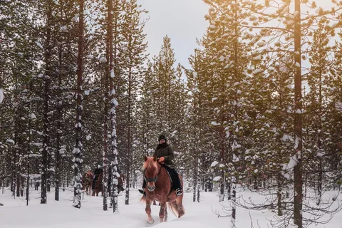 Saariselkä: Ruta Ártica a Caballo