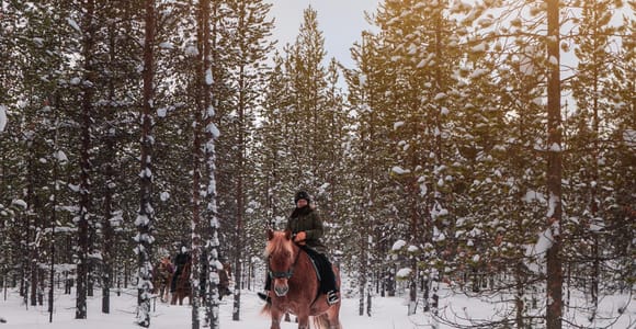 Saariselkä: Arctic Trail Horse Riding Tour