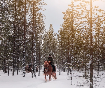 Saariselkä: Passeio a cavalo no trilho do Ártico
