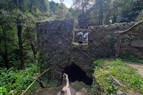 São Miguel: Moinho do Felix-Wanderung mit Besuch der Teefabrik