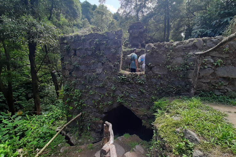 São Miguel: Moinho do Felix-Wanderung mit Besuch der Teefabrik