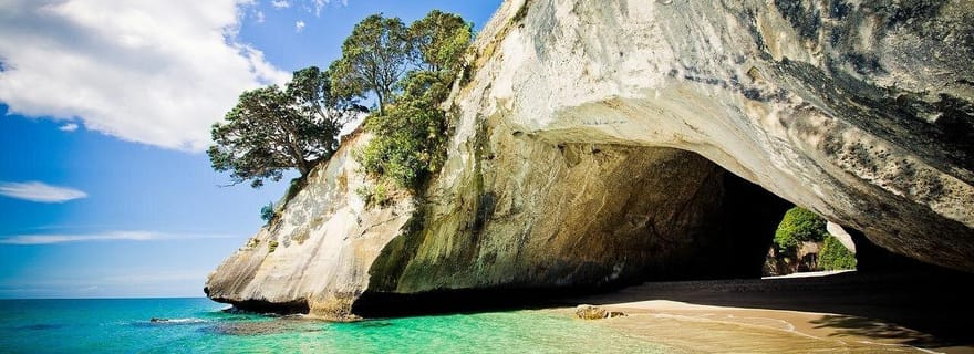 Coromandel et Cathedral Cove avec déjeuner au départ d'Auckland
