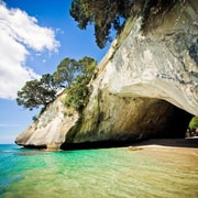 Cathedral Cove & Hot Water Beach with Lunch from Auckland