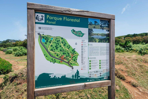 Madeira: Fanal Forest, Porto Moniz North Coast Villages 4x4 Madeira: Private Fanal Forest & Porto Moniz North Coast 4x4