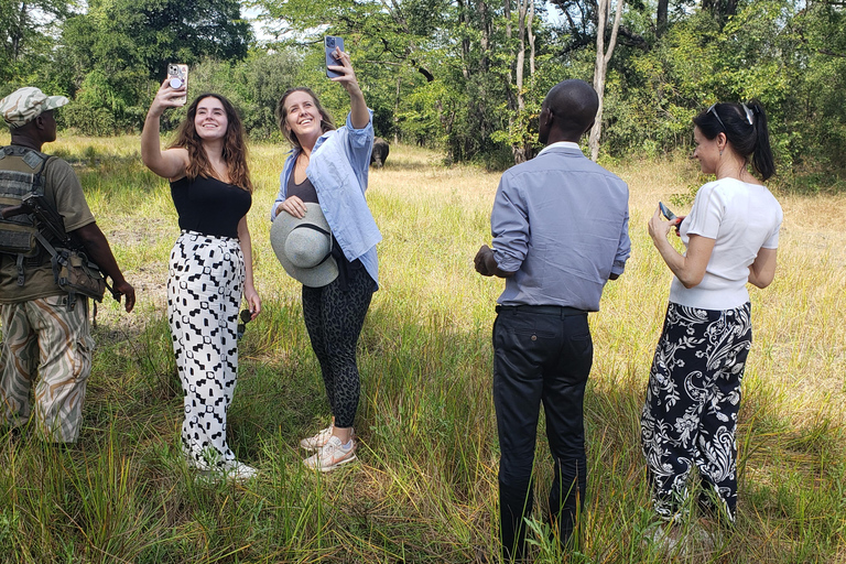 Livingstone: Mosi-oa-Tunya National Park White Rhino Tour