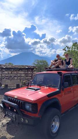 Baluran National Park and Bama Beach One Day Trip