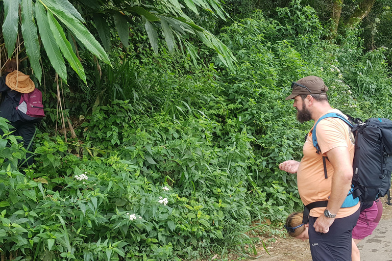 Kandy: Knuckles Mountain Range Full-Day Hike with Lunch