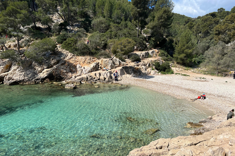 Cassis : Hiking Tour 2 Calanques with swimming