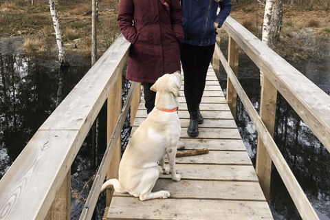 The Estonian Day Retreat at Lahemaa National Park