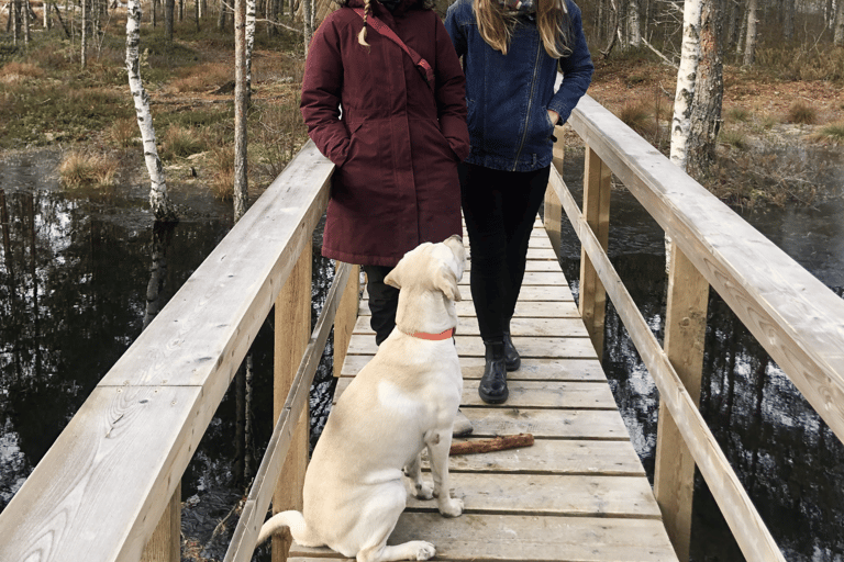 The Estonian Day Retreat at Lahemaa National Park