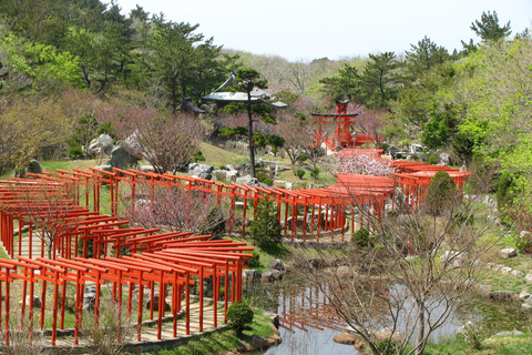 Von Osaka aus: Kyoto Tagestour mit Fushimi Inari Schrein