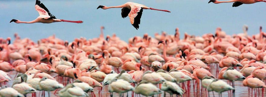 Santa Marta - Parc naturel national Los Flamingos