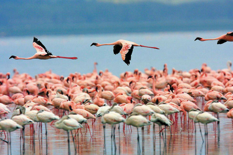 Santa Marta - Parco Naturale Nazionale Los FlamingosSanta Marta - Parco Nazionale Los Flamingos