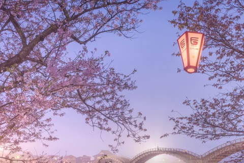 Tokyo: Mt. Fuji & Gotemba Premium Outlets Private Day Tour