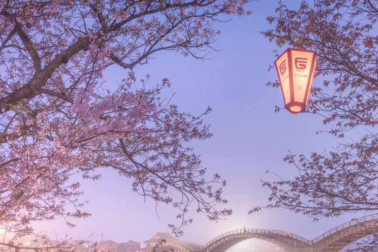 Tokyo: Mt. Fuji & Gotemba Premium Outlets Private Day Tour