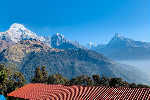 Pokhara: Excursión de 5 días a Annapurna Poon Hill y Chitwan