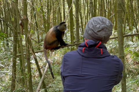 1 journée de randonnée pour les gorilles et le centre de recherche de Karisoke, PN des Volcans