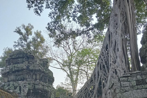 Siem Reap: Angkor 1 dia Tour de grupo com guia de turismo italianoTour em pequenos grupos em italiano