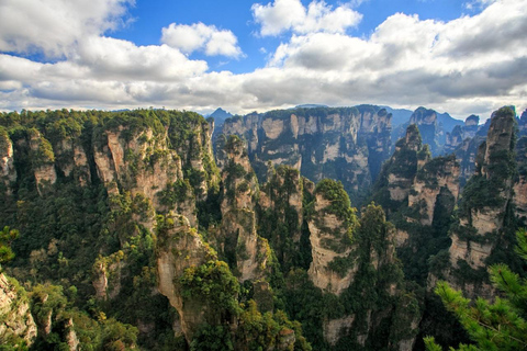 Zhangjiajie: Private Tagestour zum Avatar-Berg