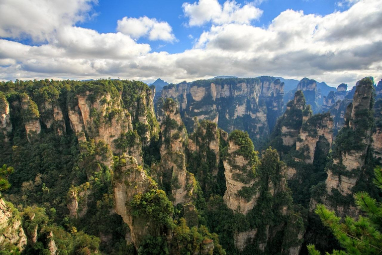 Zhangjiajie : visite privée d'une journée à la découverte de la montagne Avatar