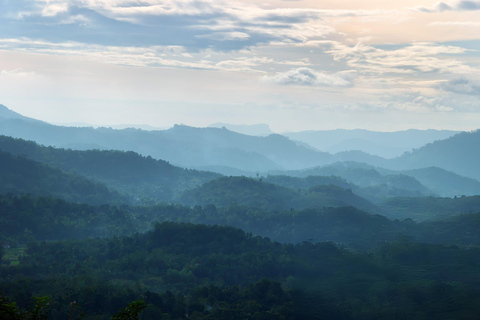 From Colombo: Sinharaja Rainforest Nature Adventure