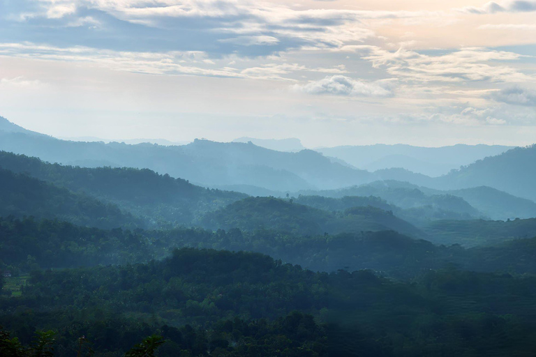 From Colombo: Sinharaja Rainforest Nature Adventure