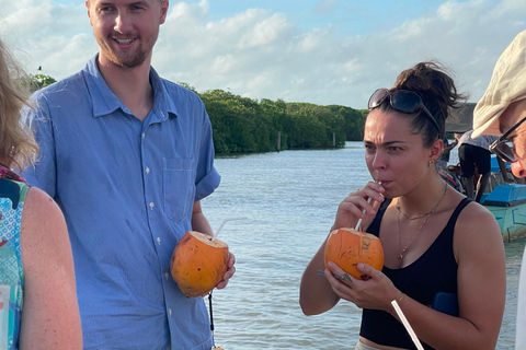 From Negombo: Boat Tour of Negombo Lagoon