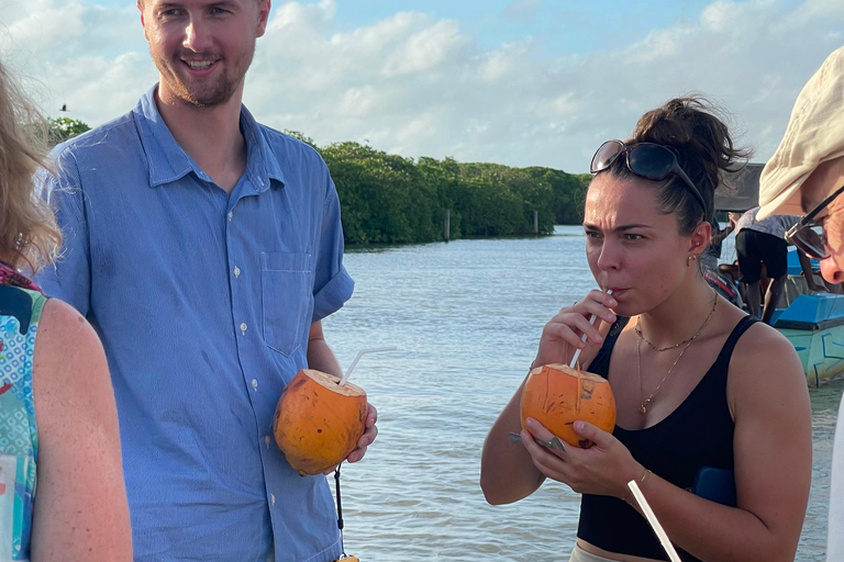 From Negombo: Boat Tour of Negombo Lagoon